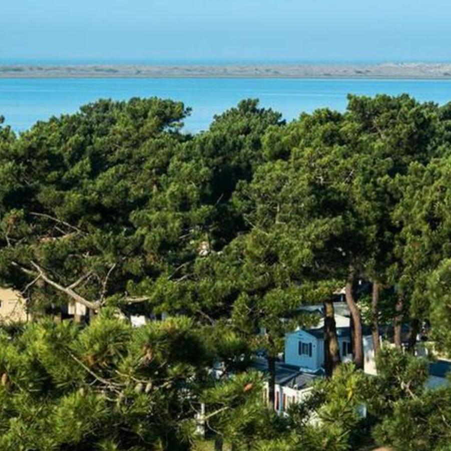 Hotel Camping La Palmyre à Les Mathes Extérieur photo